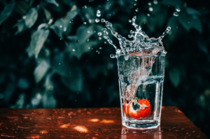 Dietitian In Chandigarh