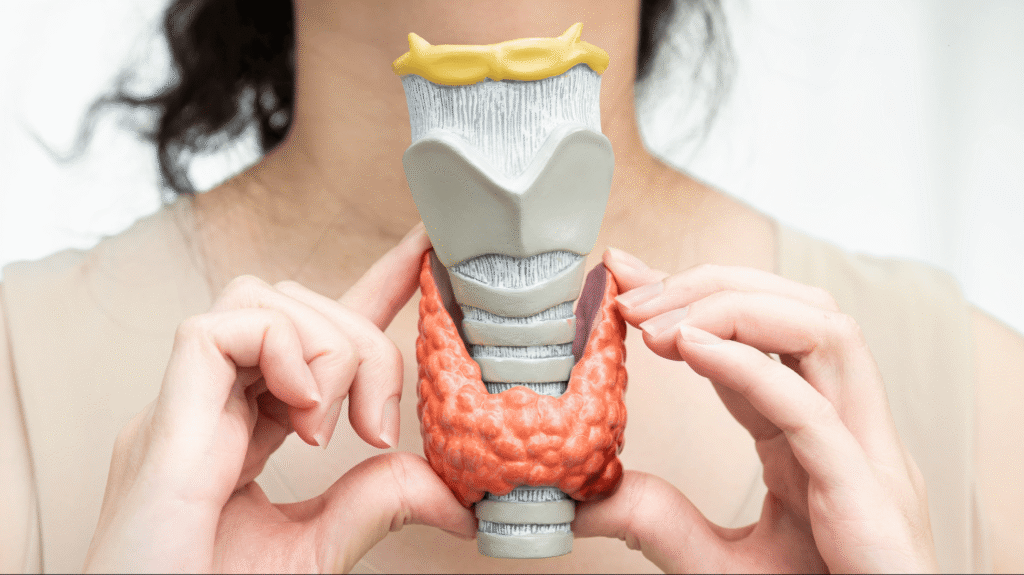 Why Your Sluggish Thyroid is Making You Constantly Hungry
